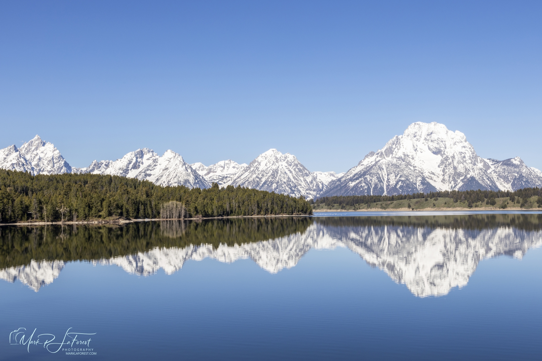 Spring in the Grand Tetons